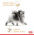 Royal Canin Pomeranian сухой корм для собак породы Померанский шпиц_1