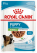 Royal Canin Puppy X-Small влажный корм для щенков миниатюрных пород, в соусе