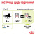 Royal Canin Sensory Smell влажный корм для привередливых котов, в соусе_4