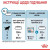 Royal Canin Starter Mother and Babydog Maxi сухой корм для беременных собак и щенков больших пород от 1 до 2 месяцев_4