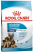 Royal Canin Starter Mother and Babydog Maxi сухой корм для беременных собак и щенков больших пород от 1 до 2 месяцев