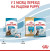 Royal Canin Starter Mother and Babydog Maxi сухой корм для беременных собак и щенков больших пород от 1 до 2 месяцев_5