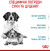 Royal Canin Starter Mother and Babydog Medium сухой корм для беременных собак и щенков средних пород от 1 до 2 месяцев_2