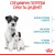 Royal Canin Starter Mother and Babydog Mini сухой корм для беременных собак и щенков малых пород от 1 до 2 месяцев_2