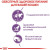Royal Canin Sterilised вологий корм для стерилізованих котів, в желе_2