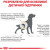 Royal Canin Urinary S/O Dog_1