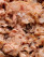 Savory GF Tuna, Mackerel беззерновой влажный корм для котов, в желе с тунцем и макрелью_7