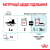 Royal Canin Sensory Feel вологий корм для вибагливих котів, в желе_1