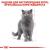 Royal Canin British Shorthair 3.2+800 г сухой корм для котов породы Британская короткошерстная_3