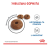 Royal Canin Light Weight сухой корм для котов, контроль веса_1