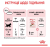 Royal Canin Kitten 8+2 кг_2