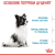Royal Canin X-Small PuppyRoyal Canin Puppy X-Small сухой корм для щенков миниатюрных пород_1