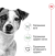 Royal Canin Mini 7+1 кг сухой корм для собак миниатюрных пород_1