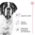 Royal Canin Giant сухой корм для собак гигантских пород_4