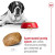 Royal Canin Giant сухой корм для собак гигантских пород_2
