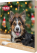Trixie 9268 Premio Advent Calendar