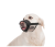 Collar Dog Extremе_2