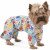 Pet Fashion Бонні_1