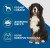 FURminator Long Hair XL фурмінатор для собак з довгою шерстю_4