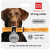 Collar WauDog Smart ID