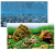 Amtra Vision двухсторонний фон