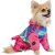 Pet Fashion_1