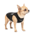 Pet Fashion борцовка_3