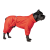 Pet Fashion Cold Active_3