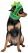 Pet Fashion Dragon капелюх для собак, дракон_1