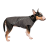 Pet Fashion E.Vest_1