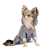 Pet Fashion Fall_1