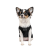 Pet Fashion FBI_3