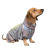 Pet Fashion Force_1