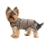 Pet Fashion Hardy_2