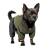 Pet Fashion Jimi_1