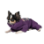 Pet Fashion Lola_2