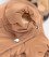 Pet Fashion Melisa комбінезон для собак, для дівчинки, карамельний_3