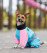 Pet Fashion Milly комбінезон для собак, для дівчинки, з світлодіодом, блакитний_4