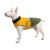 Pet Fashion Roy_1