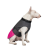 Pet Fashion Roy_1