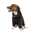 Pet Fashion Snoodie_1