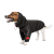 Pet Fashion Snoodie_2