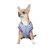 Pet Fashion Spike_1