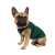 Pet Fashion Sun Please_1