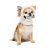 Pet Fashion Teddy_1