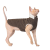 Pet Fashion Tom_2