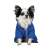 Pet Fashion Zhan_1