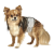 Природа гигиенический пояс