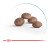Royal Canin Ageing 11+ Sterilised сухой корм для котов пожилого возраста_1