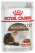 Royal Canin Ageing 12+ влажный корм для котов пожилого возраста 12+, в соусе